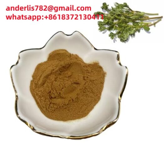Purslane herbs extract botanical extract wholesale