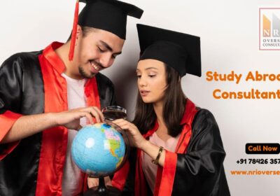 Best-Study-Abroad-Consultants-in-Hyderabad