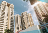 Apex Alphabet Noida Extension Key Features