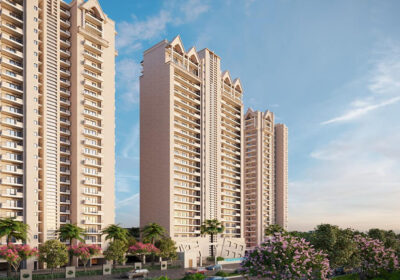 apex-alphabet-noida-ext-1
