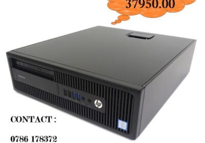 main-395