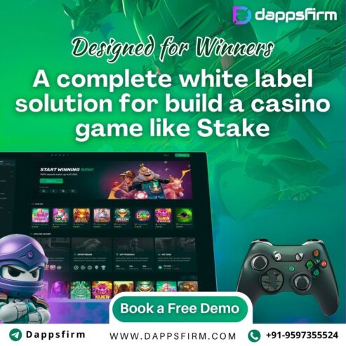 Launch Your Own Stake Clone Script and Capture the Crypto Gambling Arena Instantly