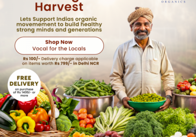 Organic-Vegetables-Online