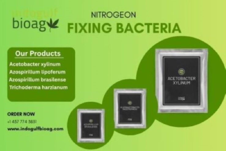 Nitrogen Fixing Bacteria for Organic Farming – Now Available in Bulk