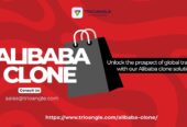 Launch Your Own Global B2B Marketplace with an Alibaba Clone