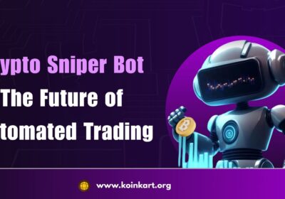 Crypto-Sniper-bot-development-2