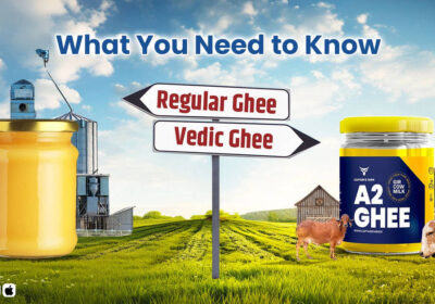 From-Farm-to-Table-Why-Owning-Our-Gir-Cows-Sets-Captains-Farm-Apart