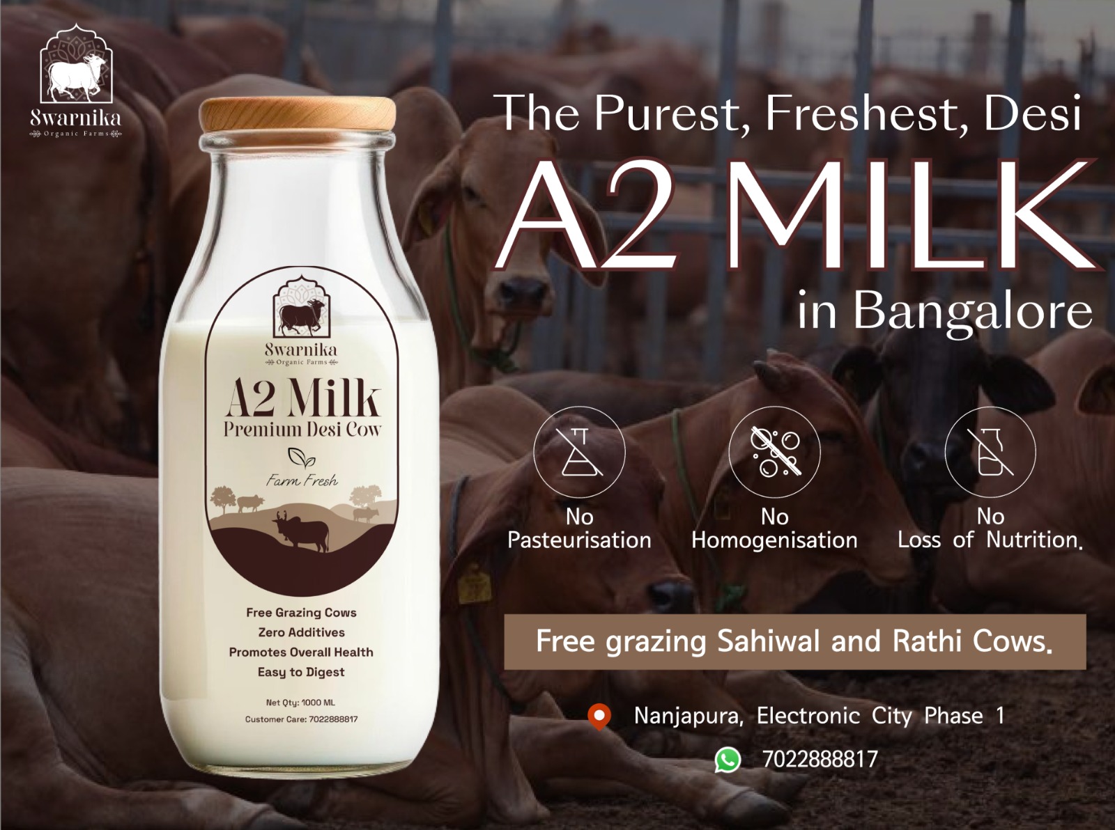 Natural A2 cow milk Delivery in Bangalore