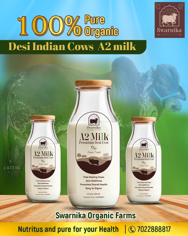 desi cow a2 milk in in electronic city bangalore