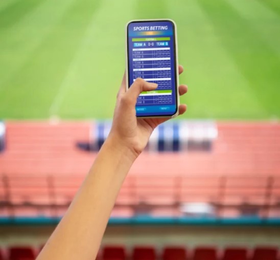 PlayinExch 365 Against the Rest in Cricket Betting