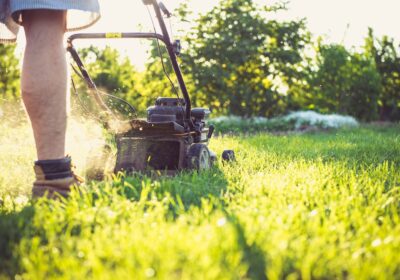 pexels-magic-k-24827758-6728933