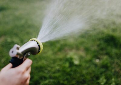 pexels-karolina-grabowska-4870800