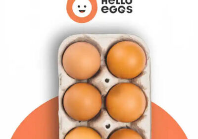 Brown-Eggs-With-DHA-A-Complete-Guide-to-Their-Nutritional-Advantages