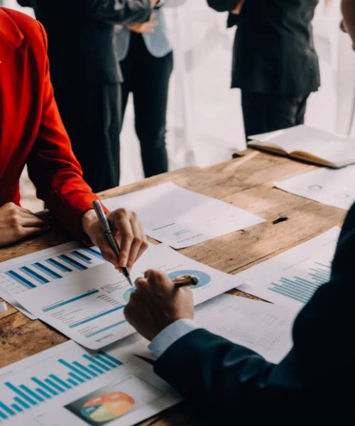 MSNA & Associates LLP – Virtual CFO Services In India