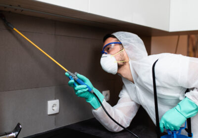 pest-control-kellowna-2