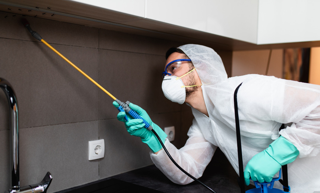 Trusted Pest Control Experts in Regina – Protection You Can Rely On