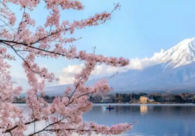 Cherry-Blossom-Season-When-Where-to-Travel-for-the-Perfect-View