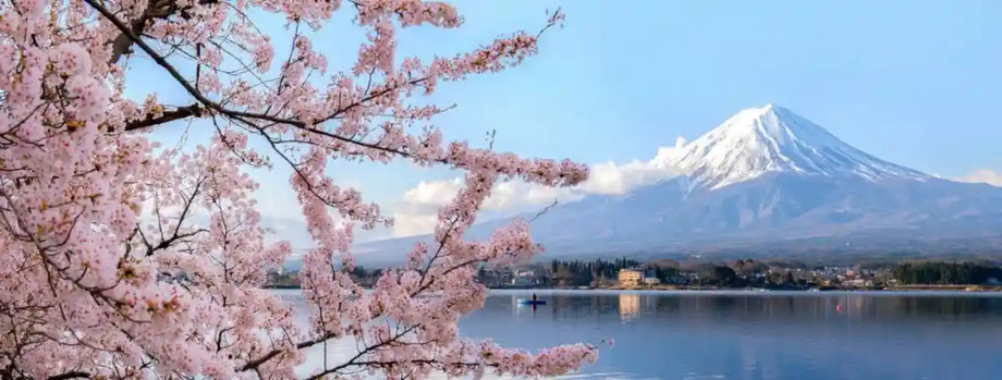 Cherry Blossom Season: When & Where to Travel for the Perfect View