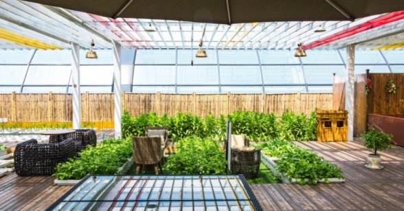 Custom Lattice Patio Cover Installation – Trusted Local Experts for Patio Covers Near Me