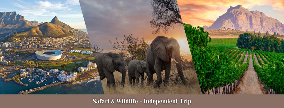 South Africa Tour Packages: Wildlife, Wine & Wonders Await You