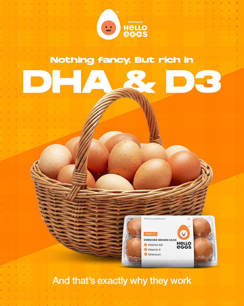 Buy DHA Enriched Eggs Online: What to Check Before Ordering
