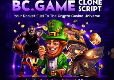 Launch-your-crypto-casino-game-with-bc.game-clone-script