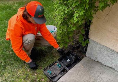 Saskatoon-Extermination-services