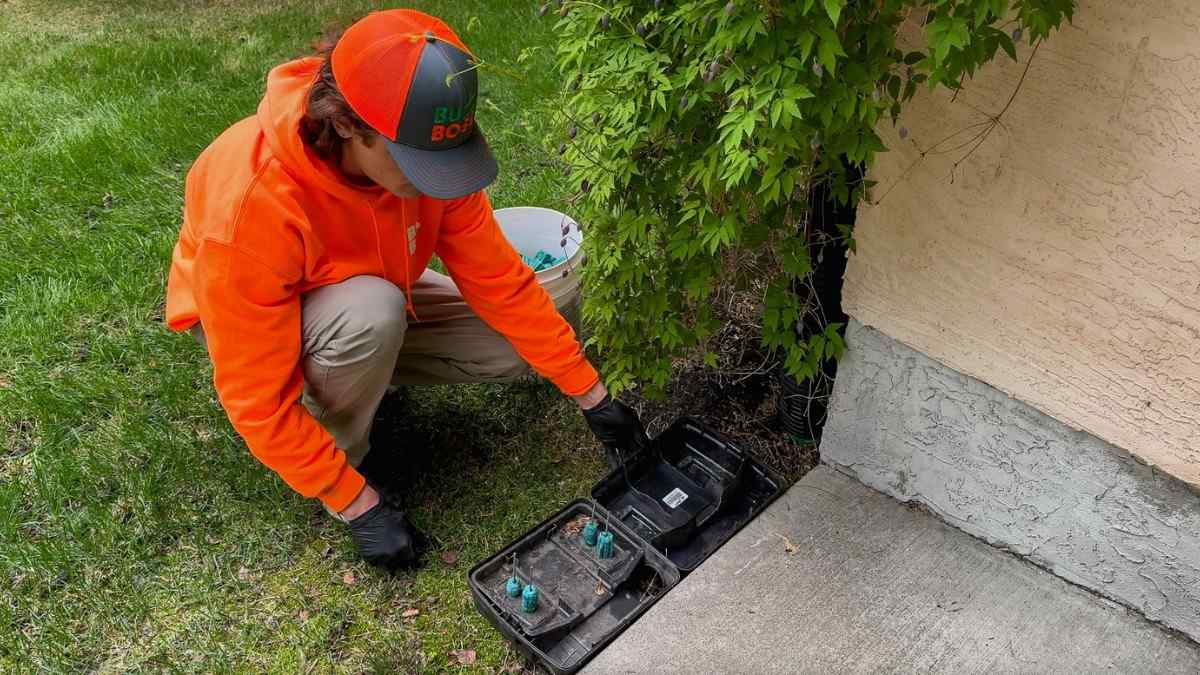 Reliable Pest Control Company in Saskatoon – Expert Team