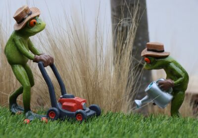 garden-professionals-7598976_1920