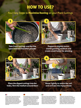 Root Booster For Plants That Delivers Real Results – RootMax Powder