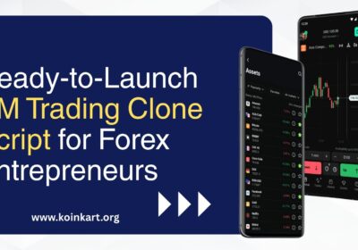 Ready-to-Launch-XM-Trading-Clone-Script-for-Forex-Entrepreneurs