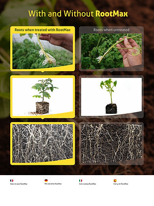 Root Booster For Plants That Delivers Real Results – RootMax Powder