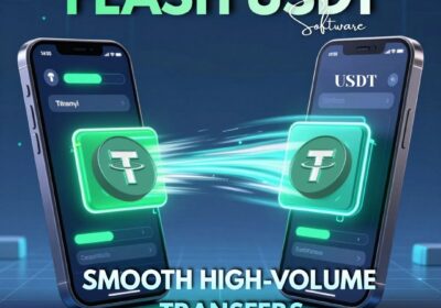 flash-usdt-software-85