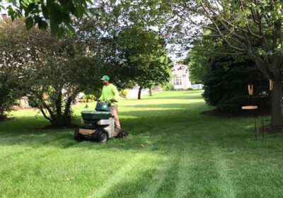 lawn-mowing-services