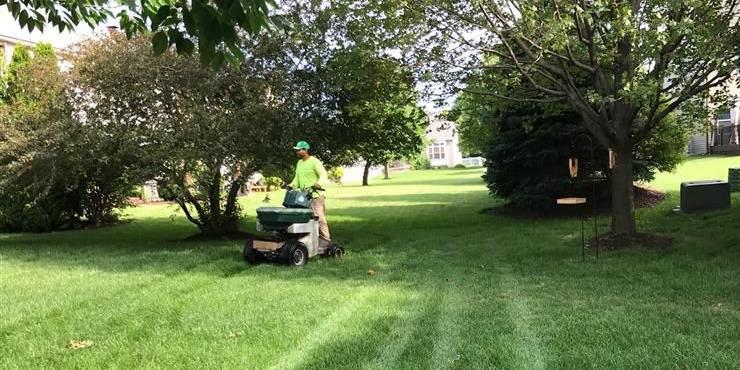 Hire Yard Care Services for Beautiful Outdoor Spaces