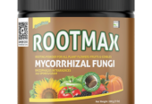 Root Booster For Plants That Delivers Real Results – RootMax Powder