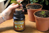 Root Booster For Plants That Delivers Real Results – RootMax Powder