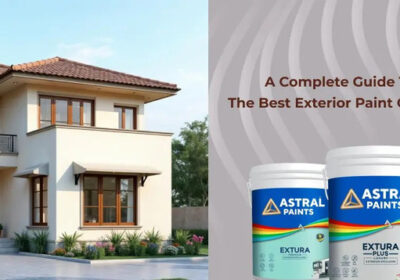 A-Complete-Guide-to-Choosing-the-Best-Exterior-Paint-Colours-Finishes