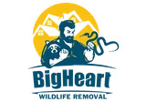 Logo-4