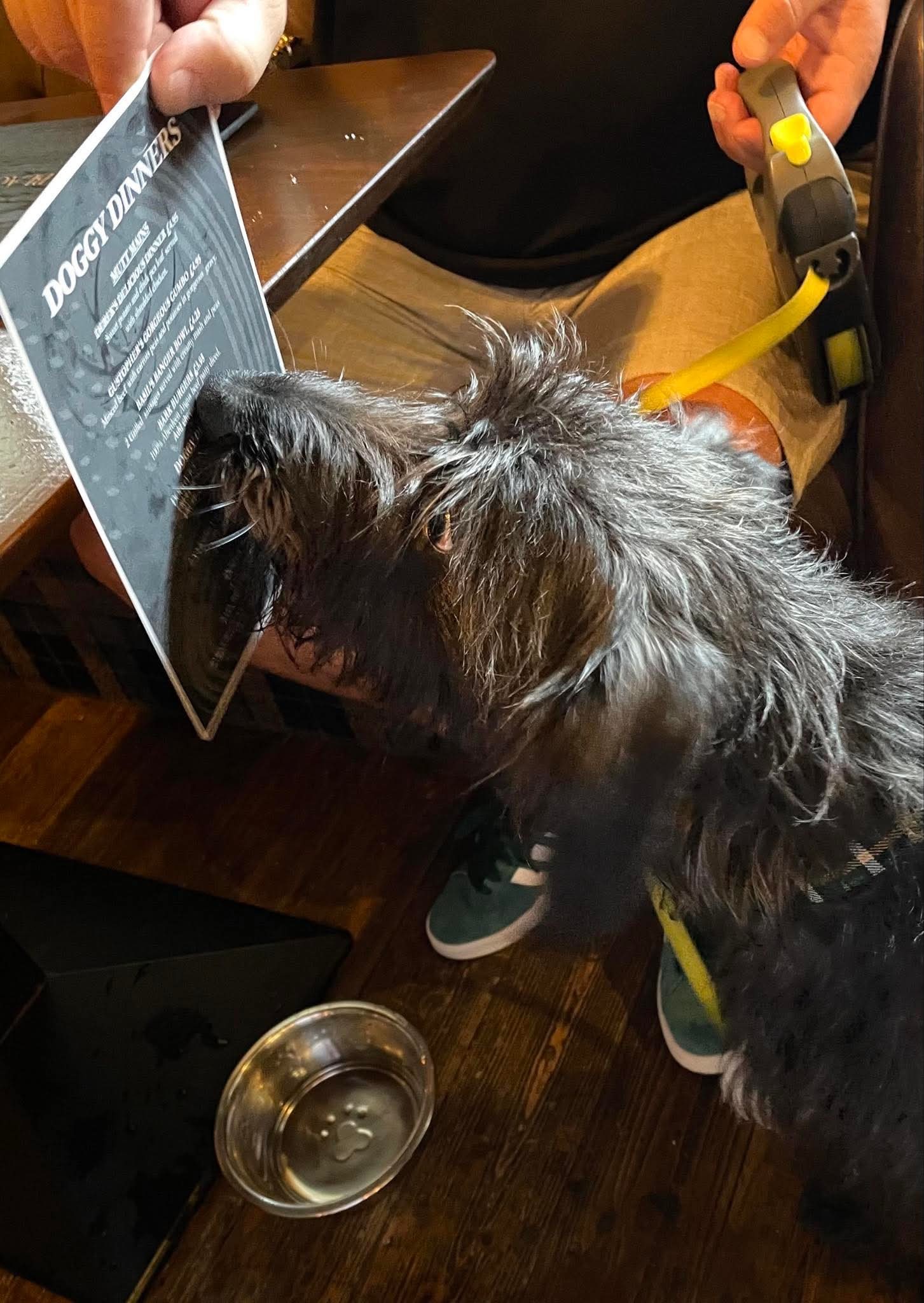 Pet-Friendly Accommodation Moffat – Stay in Comfort at The Black Bull Inn