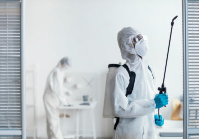 local-exterminator-in-Saskatoon
