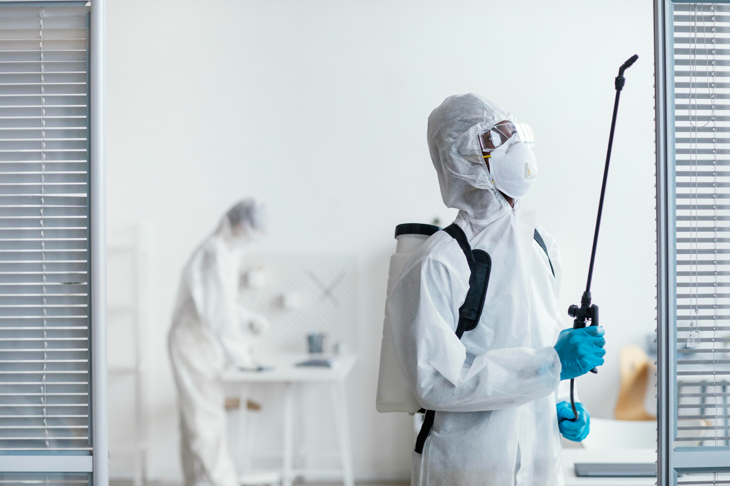 Get Effective Pest Treatment in Saskatoon with Our Expert Team
