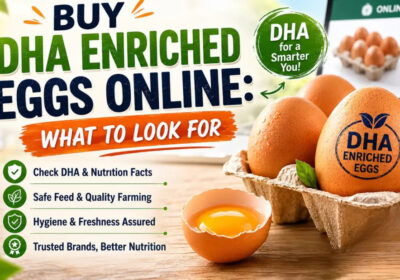 Buy-DHA-Enriched-Eggs-Online-What-to-Look-For