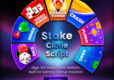 High-ROI-Stake-Clone-Platform-Built-for-Gaming-Startup-Investors