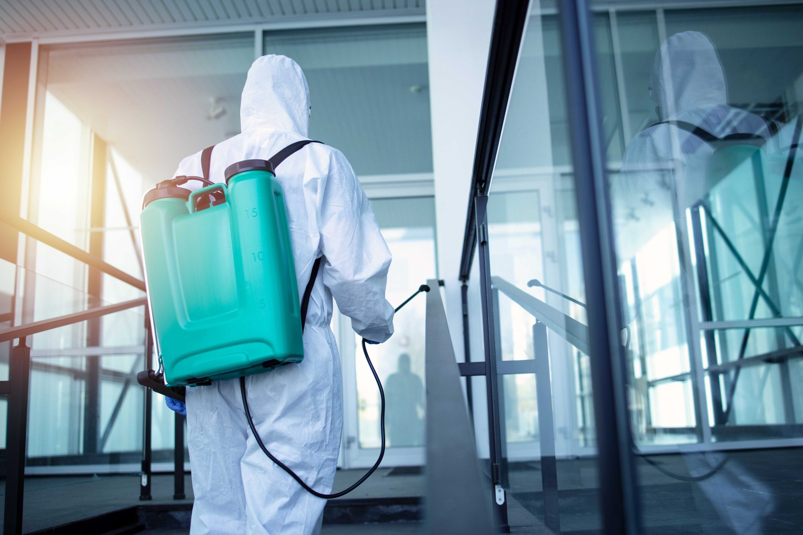 Need Pest Control? Call Expert Extermination Experts