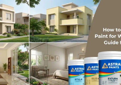 How-to-Choose-the-Best-Paint-for-Walls-A-Complete-Guide-for-Indian-Homes