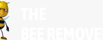 Logo-1