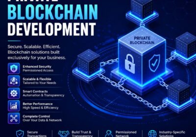 provate-blockchain-development-coinsqueens