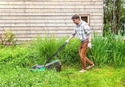 weed-treatment-services