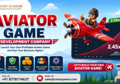 Aviator-game-Development-2